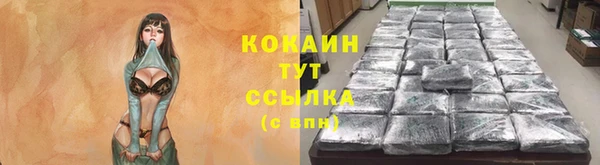 спиды Майский