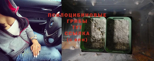 ECSTASY Магас