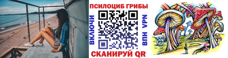 Галлюциногенные грибы прущие грибы  Любань 